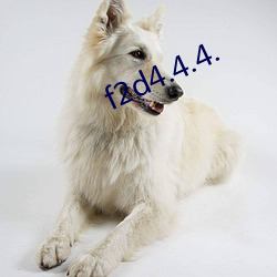 f2d4.4.4.