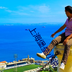 上海堡壘小說