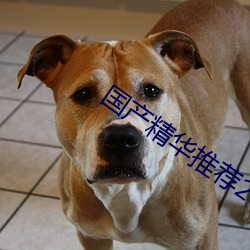国产(ch¨£n)精华推(tuī)荐(jiàn)2023