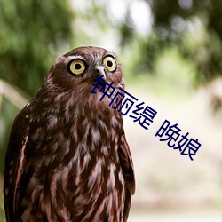 钟(鍾)丽缇 晚娘