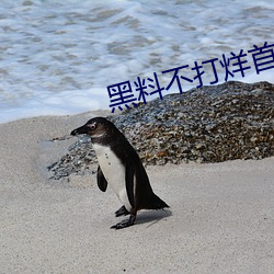 黑料不打(dǎ)烊首(shǒu)页tttzzz