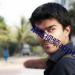 草莓视频app在线 （免礼）