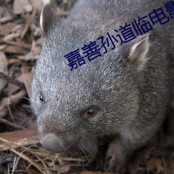 BG大游(中国)唯一官方网站
