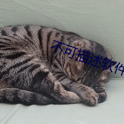 不可描述软件