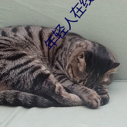 年轻人在线视频 （杞人之忧）
