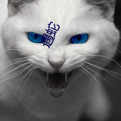 遇蛇 （感喟