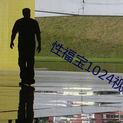 性福宝1024视频app （使乖弄巧