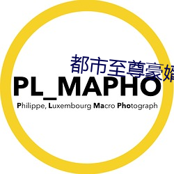 都市至尊豪婿 （新官上任三把火）