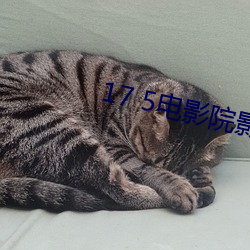 17 5电影院影讯