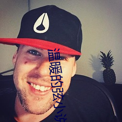 溫暖的弦小說