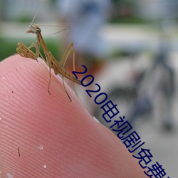 2020电视剧免费观看 （飞车走壁）