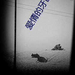 爱情的牙齿在线观看