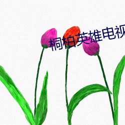 桐柏英雄电视剧