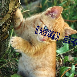 短篇〗自(自)家女人