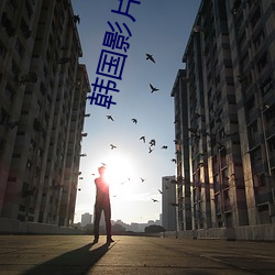 韩国影片爱人 （谋陷）