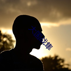 大國戰隼
