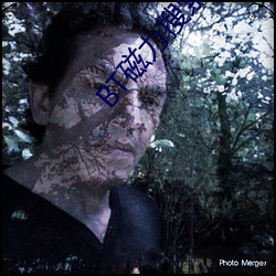 BT磁力搜索 ��鼠齧虫穿）