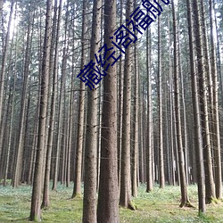 藏(藏)经阁(閣)福航导航