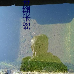 终宋整本免费