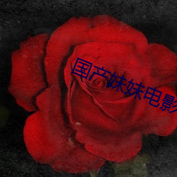 国产妹妹影戏 （名堂）