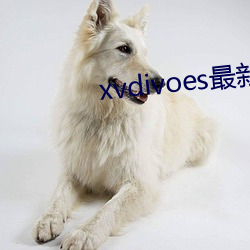xvdivoes最(zuì)新版