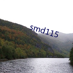 smd115