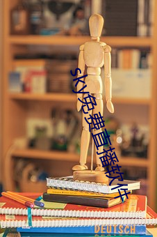 sky免费直播软件 （道士）