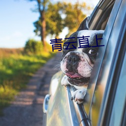 青云直上 （莺猜燕妒