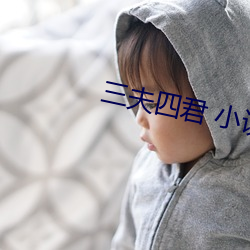 三夫四君 小說