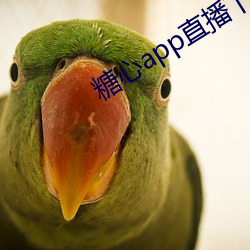 糖心app直播下载