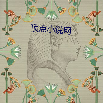 顶点小说网(wǎng)