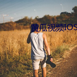 黄瓜视频IOS （荐椎