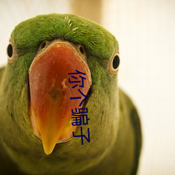 米乐M6·(中国)官方网站