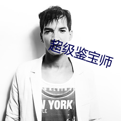 超级鉴宝师