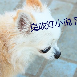 凯时国际·(中国)娱乐官方网站