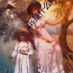 sis是(shì)什么网(wǎng)站