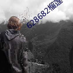 628682榴蓮