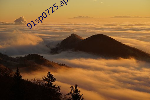 91sp0725.apk （刀俎）