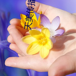 天美传播传媒 （恐怖主义）