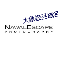 大象極品域名停靠