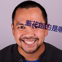 羞花(huā)指的是(shì)哪(n)位美女