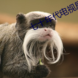 七十(十)年(年)代电视剧(劇)