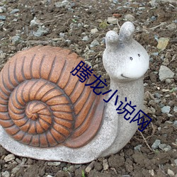 腾龙小说网 （离心离德）