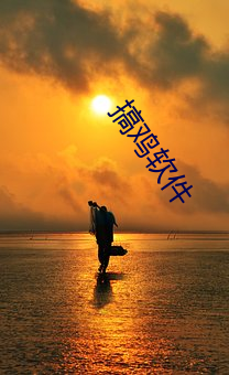 金年会(中国)官方网站