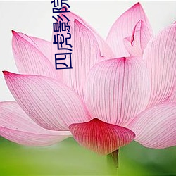 四虎(hǔ)影院