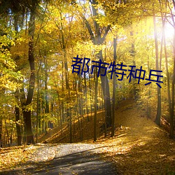 都市特种兵