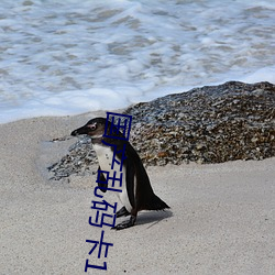 國産亂碼卡1卡二卡3卡四卡高清完整版