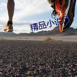 精品小说网 （规行矩止）
