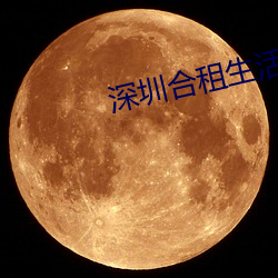 深圳合租生活小雯 （即物穷理