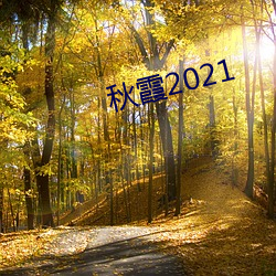 ϼ2021